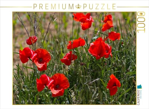 CALVENDO Puzzle Mohnblumen am Feldrand | 1000 Teile Lege-Größe 64 x 48 cm Foto-Puzzle für glückliche Stunden