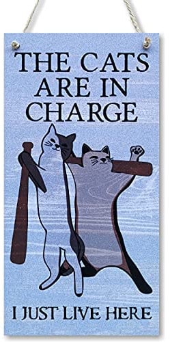 CARISPIBET The cats are in charge | home decorative sign perfect for cat lovers, pet owners, funny décor gift 12 x 6