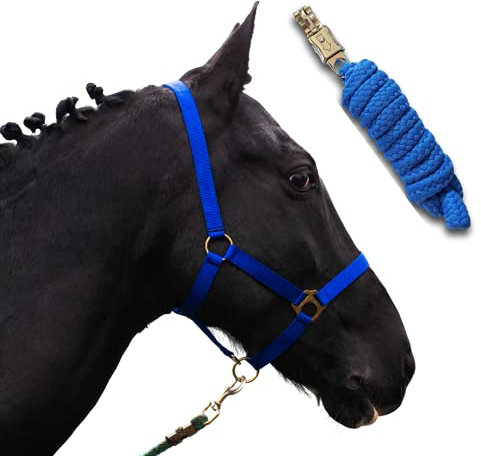 Halfter für Pferde mit Strick | Führstrick Pferd mit Halfter | Halfter Shetty, Pony, Vollblut, Full, X-Full mit Strick (Royalblau, Kaltblut)
