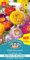 Mr Fothergill’s Seeds Ltd 35185 Helichrysum Strawflower Mix