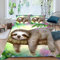 ALABOW Kawaii Faultier Bettwäsche 155x220 cm 3teilig mit Reißverschluss 3D Blumen Bettwäsche Sets Warme Winter Sommer Weich Bettbezüge mit 2 Kissenbezug 80x80 cm für Teenager