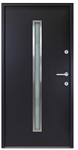 vidaXL Haustür, Tür für Eingangsbereich, Eingangstür mit verstellbarer Scharniere, Vordertür Außentür Aluminiumtür, Anthrazit Aluminium