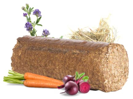 LAX Wiesenprodukte Knusperstangen für Pferde 3,25 kg (4 Stangen) – Getreide- & melassefreie Raufutter-Snacks mit Heu, Luzerne & Gemüse – Gesundes Ergänzungsfuttermittel & Pferdeleckerli
