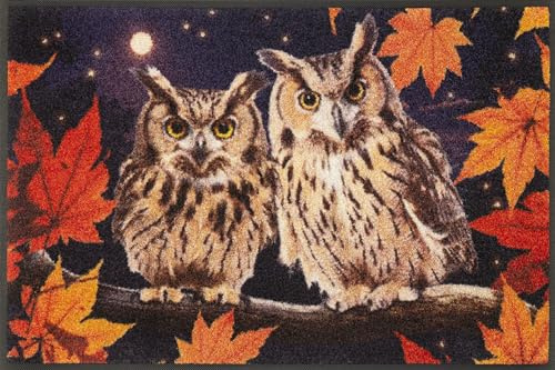 Wash+Dry Fußmatte, Night Owls 50x75cm, innen und außen, waschbar, bunt