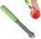 2-in-1 Stainl-ess St-EEL Apple Corer and Peeler,Apple Corer Remover,Plastic Handle Fruit Corer,Fruit Corer & Peeler,Fruit Fetch Nuclear Kitchen Tool,Peelers for Kitchen,Apple Corer and Peeler,Green