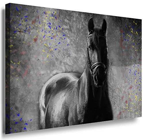 Julia-Art Leinwandbilder - Schwarzes Pferd Bild 1 teilig - 70 mal 50 cm Leinwand auf Rahmen - sofort aufhängbar Wandbild XXL - Kunstdrucke QN170-3