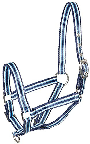 PFIFF 100996 Fohlenhalfter, Halfter für Fohlen Gestreift, Blau-Hellblau, Einheitsgröße
