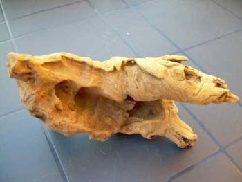 Wurzel aus Opuwaholz ca. 20-30 cm, Opuwa, Aquarium