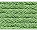 1 piece Anchor Embroidery Thread - color: 240-pale green