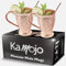 Kamojo Moscow Mule Copper Mugs Set of 2 with Unique Handcrafted Embossed Design with Anti-Tarnish Food-Grade Coating - Copper Cups Gift Set with 4 Straws & Recipe E-Book, 16 oz