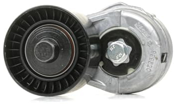 LUK 534010920 Tensioner