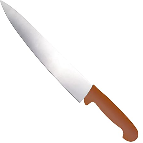 EVER BLADE Professional Japanese Steel Chef Cooks Knife Colour Coded Handle (Brown, 10 (250mm))