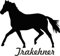 Werbetechnik Sotirios Papoutsis 2X Auto Aufkleber TRAKEHNER Pferd 2X Car Sticker Konturgeschnitten (ca. 11x10 cm) (Schwarz)