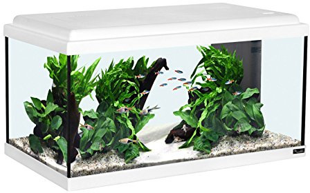 Aquatlantis Aquarienset Advance 60 LED, Weiß