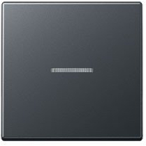 Jung A 590 BF KO5 ANM Wippe bruchsicher mit Lichtleiter für Schalter und Taster Serie A anthrazit matt