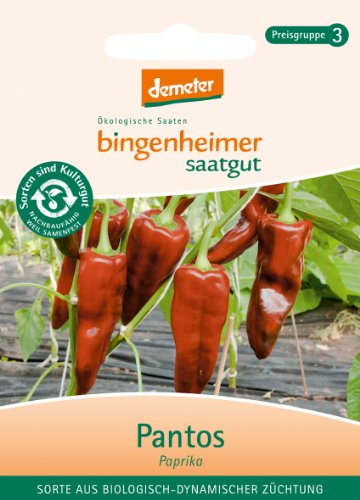 Bingenheimer Saatgut - Paprika Pantos - Gemüse Saatgut / Samen