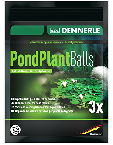 Dennerle 3582 Pond Plant Balls, 3 Stück