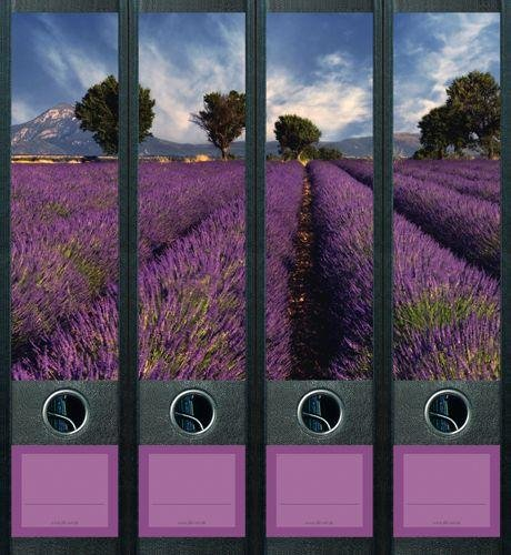 File Art AJ444 Design Etiketten Ordnerrückenschilder
