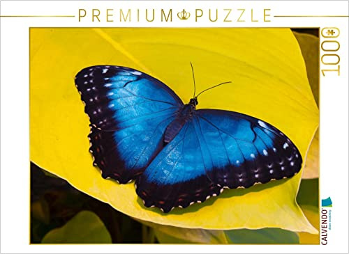 CALVENDO Puzzle Himmelsfalter Morpho peleides | 1000 Teile Lege-Größe 64 x 48 cm Foto-Puzzle für glückliche Stunden