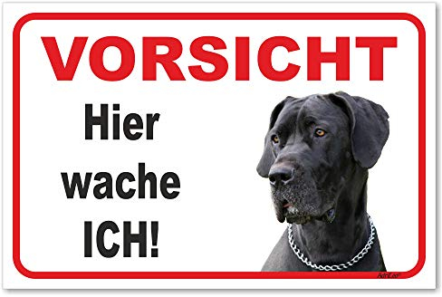 AdriLeo Schild - Vorsicht Deutsche Dogge - Hier wache ich - (15x20cm) / Graues Fell Achtung Hund Wachhund deutscher Hund robust langlebig UV-beständig wetterfestes Warnschild