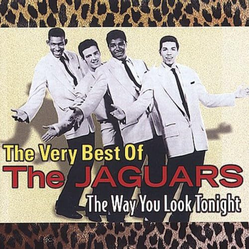 Way You Look Tonight: Best of