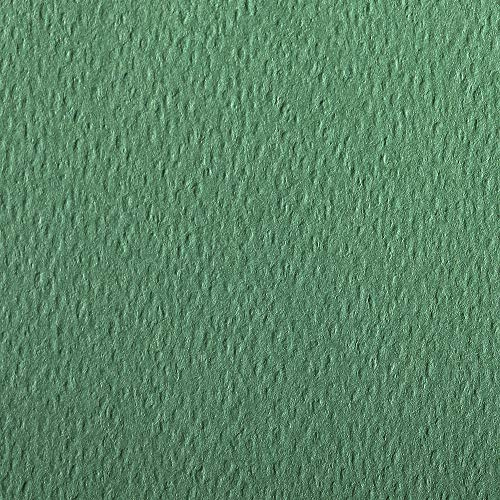Clairefontaine 93878C Packung (mit 25 Bögen Zeichenpapier Etival Color, DIN A4, 21 x 29,7 cm, 160g, gekörnt, ideal für Trockentechnik und Einrahmen) dunkelgrün