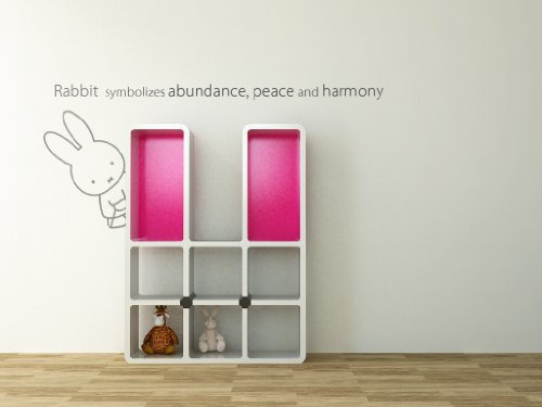 CUMIX Design Regal System cm-mv-003 weiß, Rückwand pink