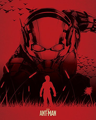 Ant-Man Kunstdruck auf Leinwand, Silhouette 40 x 50 cm, Polyester, Mehrfarbig, 40x50x3.2 cm