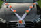 Organza M Auto Schmuck Braut Paar Rose Deko Dekoration Autoschmuck Hochzeit Car Auto Wedding Deko (Orange/Weiß)