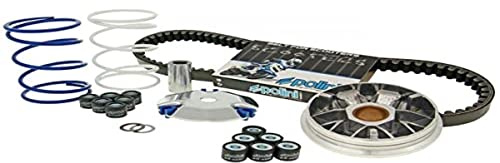 Variator Polini Speed Control ECO-KIT für Peugeot, Jetforce C-Tech, Ludix, Speedfight 3 LC 50