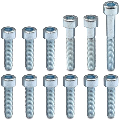 Easyboost 12 Schrauben für Variomatikdeckel Kupplung CHC Stahl Verzinkt für Aerox Jog-R Bw's Slider SR F12 Neo's Minarelli Liegend Vario Stehend Keilriemen Variodeckel Variomatikschrauben