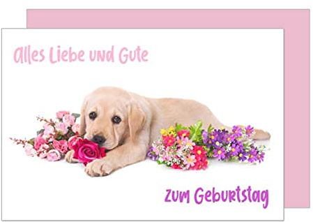 Edition Seidel Premium Geburtstagskarte mit Umschlag. Glückwunschkarte Grusskarte Billet Happy Birthday Mann Frau Kind alles Liebe und Gute zum Geburtstag Blumen Hund Welpe Karte (G3155 SW023)