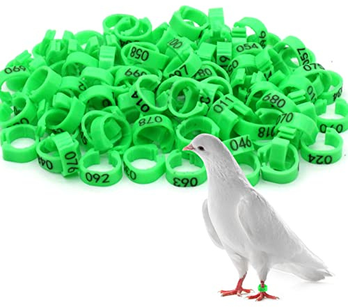 Andiker 100 Pezzo Pigeon Anelli, 8mm Bird Leg con Anelli di Plastica, Anelli di identificazione per Uccelli, pappagalli, piccioni, quaglie e Giovani Uccelli (Verde)