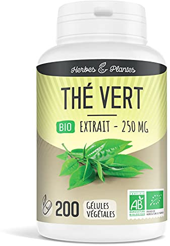 Herbes Et Plantes Thé Vert Bio 200 Gélules Végétales 250 mg