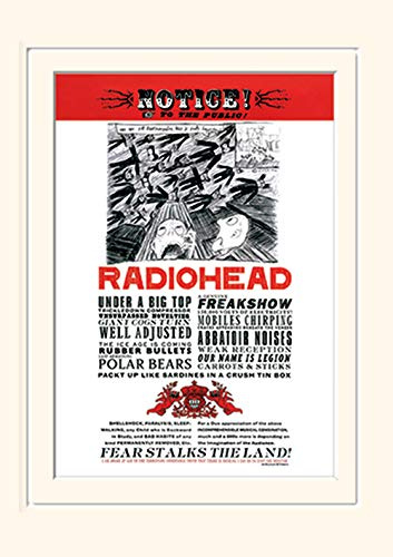 Pyramid International Radiohead Fear Mounted Print Memorabilia, Multi-Colour, 30 x 40 x 1.3 cm