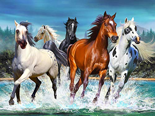 Viiegor Diamond Painting Komplettset, Motiv: Pferd am Strand, Diamant-Stickerei, komplett, Strand, Meer, Pferd, Diamantmalerei, Kreuzstich, Diamant, Kunsthandwerk für Zuhause, Wanddekoration, 30 x 40