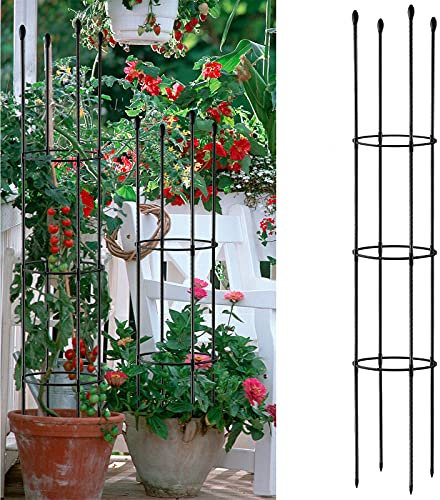 WIVAYE Cage de support de plantes pour pots, anneau de support de plantes rond assemblé, cage de tomates, pilier en plastique, pot de fleurs grimpantes pour plantes grimpantes verticales en pot