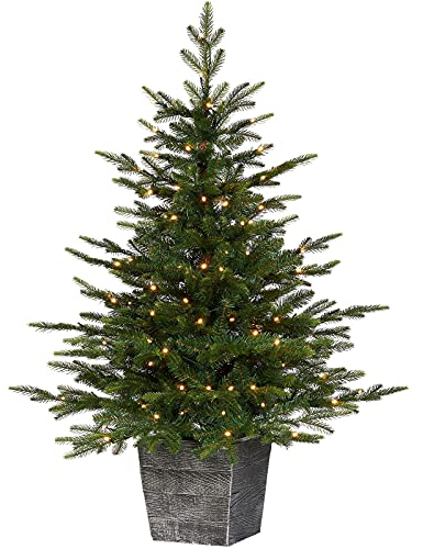 WeRChristmas Pre-Lit Grand Fir Potted Christmas Tree, 100 Warm White LED Lights, Green, 4 ft / 120 cm