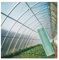 AFGZQ Planchas Policarbonato Transparente Tejados, Paneles Fibra Vidrio Invernaderos, Impermeable Y Duradero, for Invernadero, Pérgola, Terraza Acristalada(2x3.3ft)