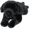 tachi Liegender Plüschtier Hund, Kuscheltier Labrador dunkel braun Stofftier groß 40 cm