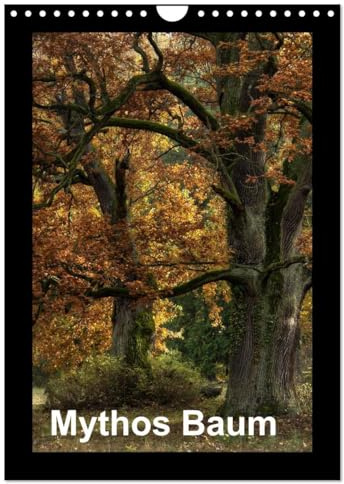 Mythos Baum / 2026 (Wandkalender 2026 DIN A4 hoch), CALVENDO Monatskalender: Alte Bäume ziehen uns in ihren Bann und wecken Fantasien. (CALVENDO Natur)