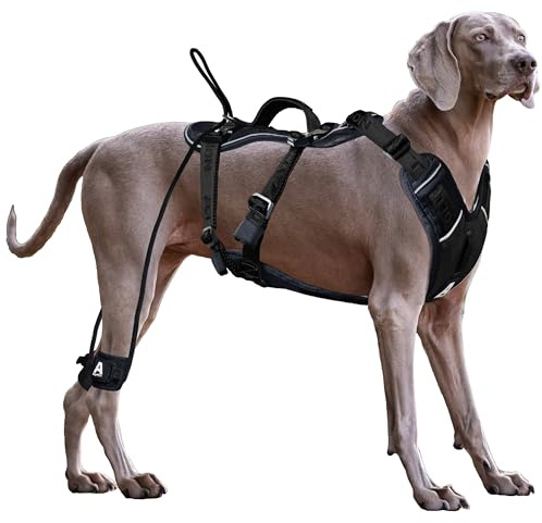 ANAFNI Hundegeschirr für große Hunde, kein Ziehen, strapazierfähig, taktisches Hundegeschirr mit Griff, einfache Kontrolle und Training, bessere Leinenmanieren (Onyx-Schwarz, Größe L)