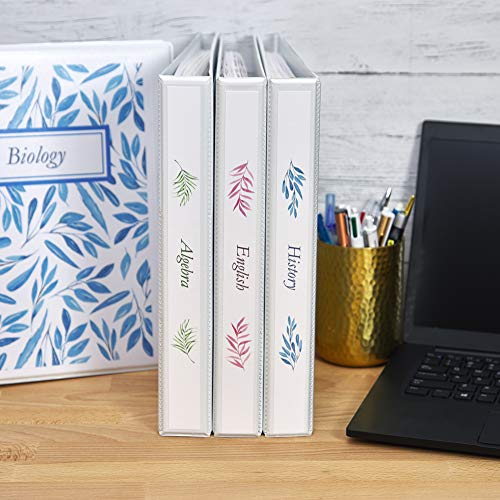 AVERY Economy View 3 Ringbücher Heimschule Zubehör Heimorganisation 2,5 cm runde Ringe 4 weiße Ordner (05711)