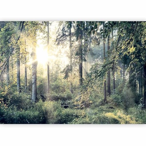 murando - Papier peint panoramique paysage 250x175 cm - Revêtement mural décoration salon - Design moderne - Blanc noir gris vert - Des arbres forêt feuilles nature paysage soleil c-C-0032-a-d