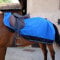 Equi-Theme EQUITHEME Tyrex, gefüttert, 1200D, schwarz/blau, Bleu/Noir-155