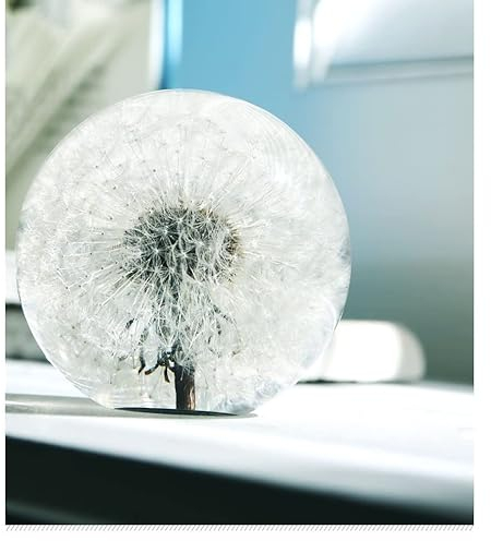 COREFLEX Echter Pusteblumen-Briefbeschwerer, Löwenzahn in Harzkugel in Geschenkbox, 70 mm, Heimbüro, Desktop-Dekoration, Geburtstag, Hochzeitsgeschenk und Valentinstag