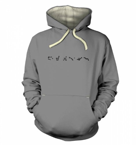 Stargate Earth Adress-Kapuzenpullover (Premium) – Film Geeky T-Shirt Gr. Large, Dusty Grey
