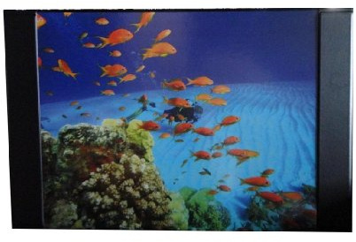 Schreibtischunterlage 68x44cm / mit Fische