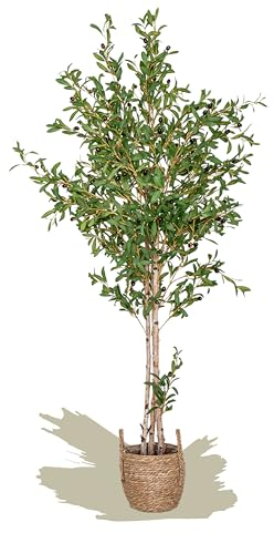 Maia Shop | Olivier Artificiel | Plantes Artificielles Interieur | Plante Artificielle | Mesures: 180 x 60 cm | Plante Artificielle Grande | Arbre Artificiel | Décoration
