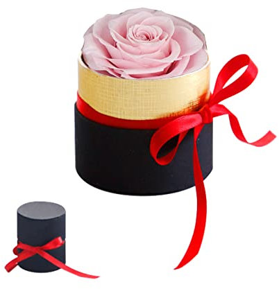 Mini Scatola Regalo Rosa eterna,Rose Stabilizzate Fatte a Mano,Regalo di San Valentino,Rosa Eterna,Fiore Mai Appassito,Rossa Ragazze Regali di nozze,Anniversario,Regali Romantici,regalo per lei
